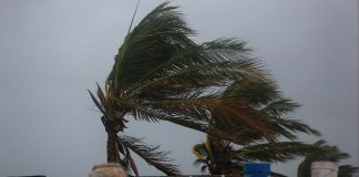 Fausto se convierte en el primer huracán del Pacífico; Bertha avanza en el Atlántico y así lloverá esta semana