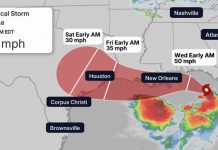La tormenta tropical Bertha se fortalece frente al Golfo y activa alertas en la costa norte: esta es su trayectoria