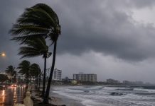 La tormenta tropical Bertha toca tierra en Luisiana, sur de EUA