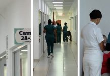 Detectan casos de ciclosporiasis en Jalisco; autoridades refuerzan vigilancia sanitaria