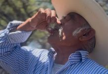 ¿Un mezcal en ayunas es bueno para la salud? El secreto ancestral de San Carlos