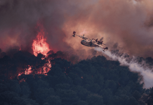 Incendio forestal en Cap-Ferret, Francia, obliga a evacuar a 40 mil personas