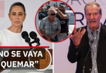 ‘No se vaya a quemar’… Sheinbaum a Vicente Fox por defensa de Ruffo Apple