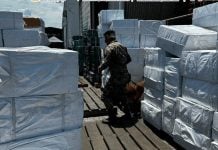 Decomisan más de 8 millones de cigarrillos en Colima