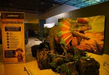 Museos del Centro Cultural permanecerán abiertos durante vacaciones; “Dino Frontera” continuará hasta el 15 de agosto