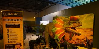 Museos del Centro Cultural permanecerán abiertos durante vacaciones; “Dino Frontera” continuará hasta el 15 de agosto
