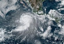 Genevieve ya es un poderoso huracán de categoría 4; ¿Cuál es su trayectoria y qué territorios afectará? | MAPA
