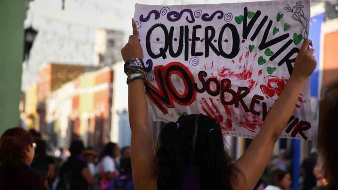8M Campeche (2).jpg