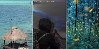 10 experiencias que debes vivir en México al menos una vez en la vida