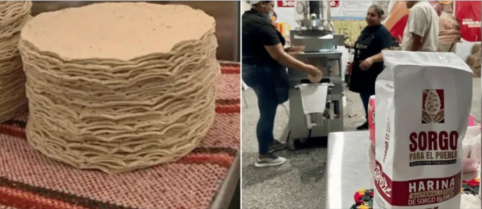 Tamaulipas ofrecerá tortilla barata con modelo único en México para producir harina nixtamalizada
