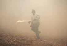 Incendios en Grecia consumen más de 11 mil hectáreas; hay al menos 2 muertos