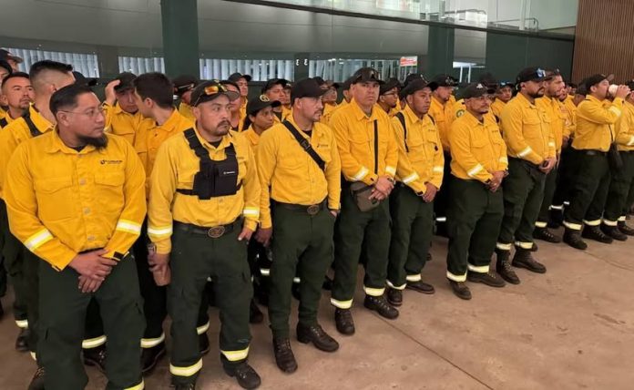 México envía equipo de 103 brigadistas a Canadá para ayudar en combate a incendios forestales
