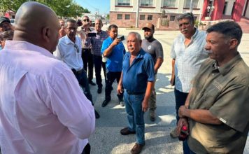 Agricultores piden a AVA incluir a Tamaulipas en apoyos al maíz