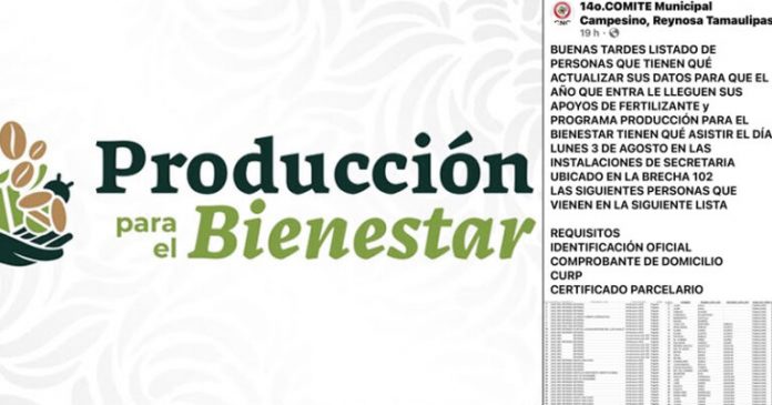 Y MÉX