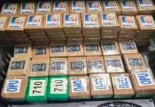 Decomisan 217 kilos de cocaína ocultos en un vehículo en Tlalpan; hay un detenido