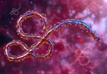 OMS pide ayuda para controlar brote de ébola en el Congo