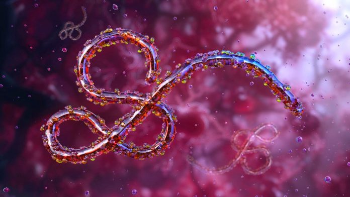 ebola-112827
