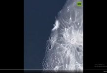 Un cohete de SpaceX se estrelló contra la Luna y los científicos estudian su impacto