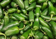 EEUU advierte de un brote de salmonela ligado a jalapeños de México; reportan 345 casos