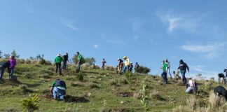 Harán campaña de reforestación con apoyo de drones
