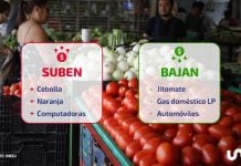 Jitomate y gas LP ayudan a contener la inflación, pero cebolla se dispara casi 19% en julio