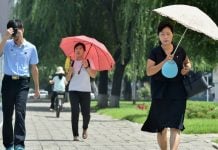 Corea del Norte recomienda comer sopa de perro para enfrentar la ola de calor