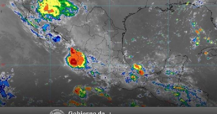 Y CLIMA