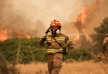Nuevo incendio forestal obliga a evacuar pueblo cerca de Atenas, Grecia