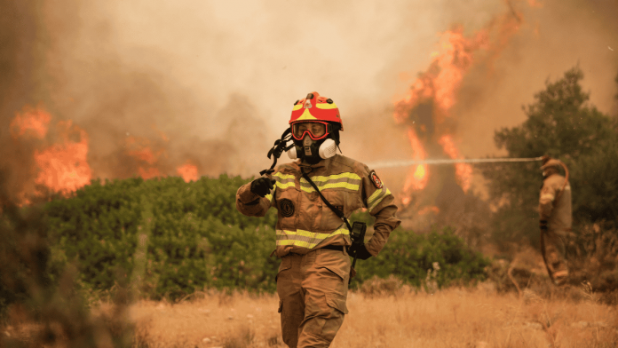 imagen-034635
