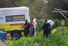 México registra 225 homicidios en primera semana de agosto; Sinaloa encabeza cifras con 23 casos