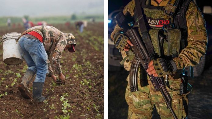 cuartoscuro-agricultores-narcos-143201