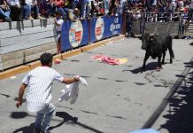 Video: toro embiste a adulto mayor en Pamplonada de Atoyatempan, Puebla