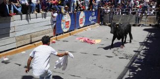 Video: toro embiste a adulto mayor en Pamplonada de Atoyatempan, Puebla