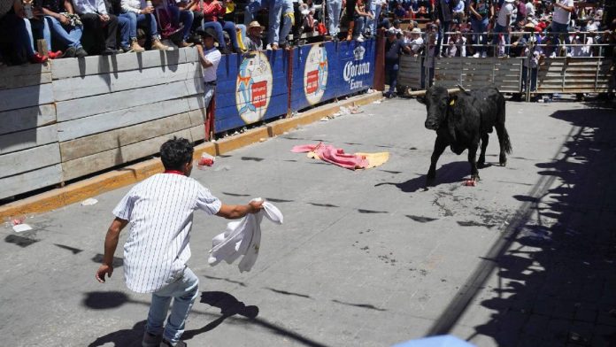 video-toro-embiste-a-adulto-mayor-en-pamplonada-de-atoyatempan-puebla-100909