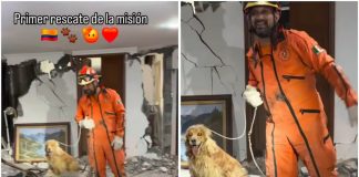Topos Azteca realizan primer rescate en Colombia; sacan a perrito de los escombros tras el sismo de 7.4