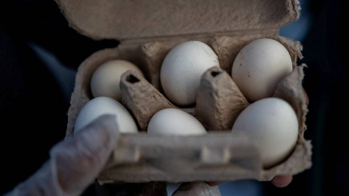 reuters-huevos-143549