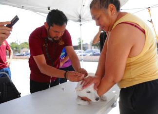 Protege Gobierno Municipal la salud de las mascotas con Jornada de Vacunación en Villas de San Miguel