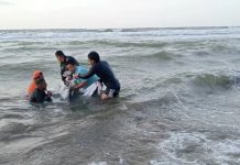 Pese a rescate, muere delfín herido hallado en costas de Coatzacoalcos, Veracruz