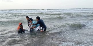 Pese a rescate, muere delfín herido hallado en costas de Coatzacoalcos, Veracruz