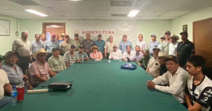 Y AGRICULTORES