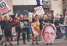 Derechos legales de las mascotas: cambio de percepción