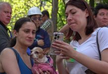 ¿Tu línea termina en 1? Ésta es tu fecha límite para registrar el celular