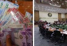¿Qué podrías comprar con los casi 11 mil millones de pesos que el INE dará a los partidos políticos?