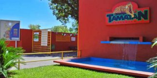 Llega nuevo director al Zoológico Tamatán