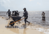 Sargazo comienza a ceder en playas del norte de Quintana Roo
