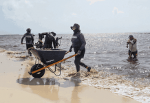 Sargazo comienza a ceder en playas del norte de Quintana Roo