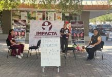 Atiende IMPACTA casos de adultos mayores en situación vulnerable