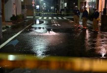 Sismo de 5.9 en Japón deja al menos 37 lesionados en Tokio y prefecturas aledañas