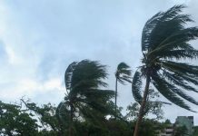 ¿Afectará a México? Se forma la tormenta tropical Iselle al sur de Baja California