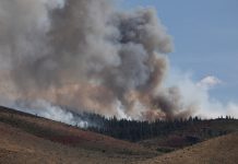 Declaran estado de emergencia en Nevada por voraz incendio forestal en Reno: qué se sabe